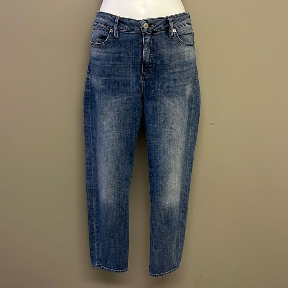 Lucky Brand Women’s Faded Blue Medium Wash “Hayden Skinny” Jeans- 14/32
